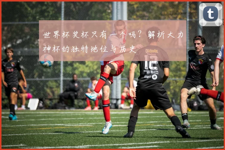世界杯奖杯只有一个吗？解析大力神杯的独特地位与历史