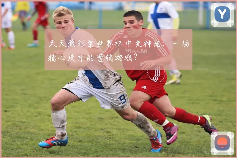 天天盈彩票世界杯中奖神话：一场精心设计的营销游戏？