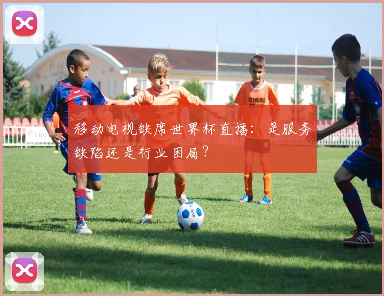 移动电视缺席世界杯直播：是服务缺陷还是行业困局？
