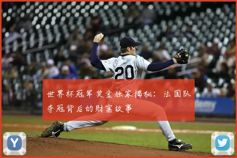 世界杯冠军奖金独家揭秘：法国队夺冠背后的财富故事
