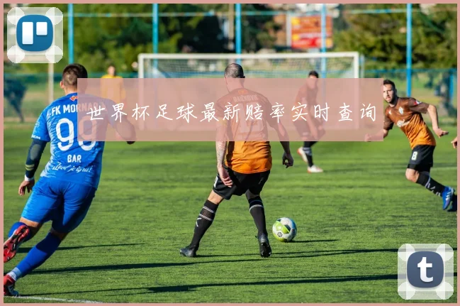 世界杯足球最新赔率实时查询