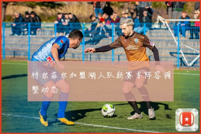 特尔菲尔加盟湖人队新赛季阵容调整动态