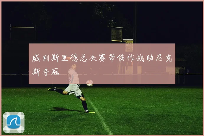 威利斯里德总决赛带伤作战助尼克斯夺冠