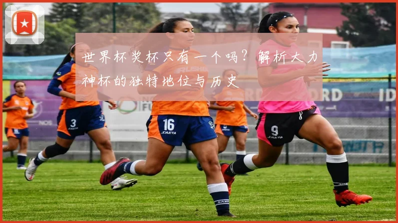 世界杯奖杯只有一个吗?解析大力神杯的独特地位与历史