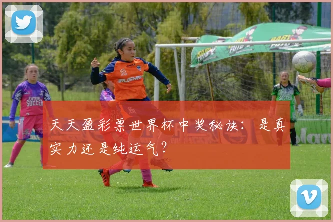 天天盈彩票世界杯中奖秘诀：是真实力还是纯运气？