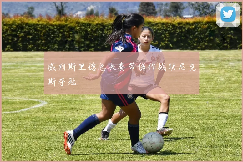 威利斯里德总决赛带伤作战助尼克斯夺冠