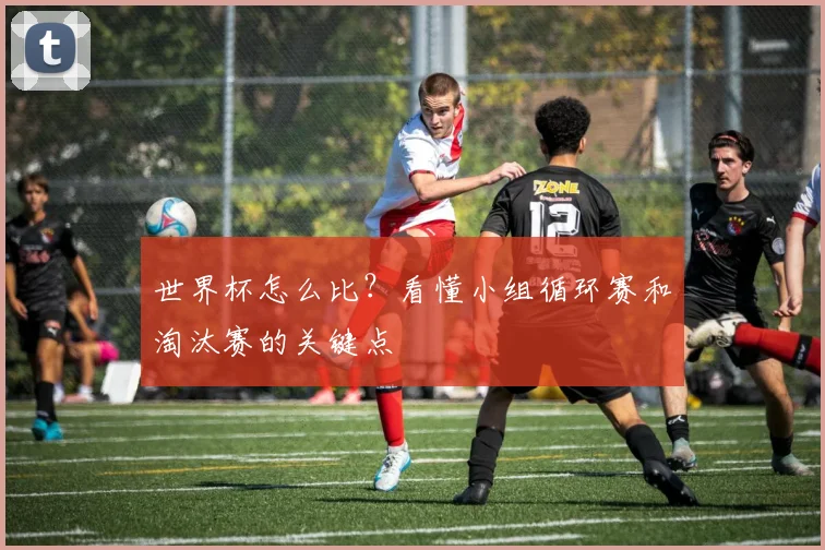 世界杯怎么比？看懂小组循环赛和淘汰赛的关键点