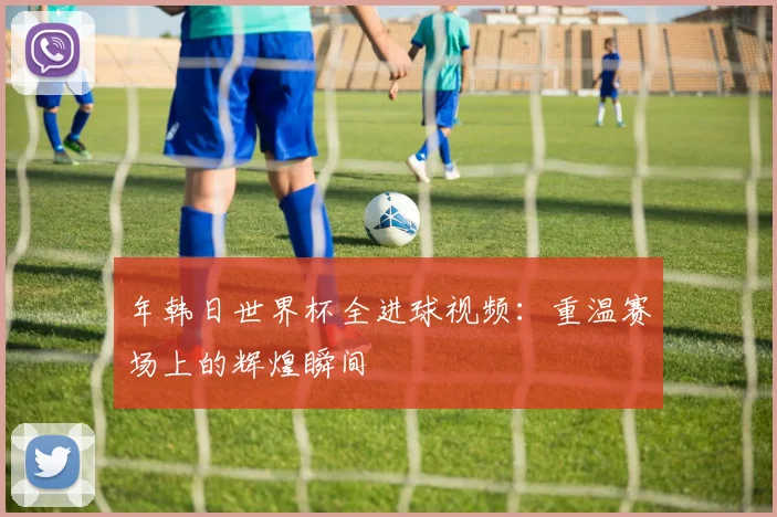 年韩日世界杯全进球视频：重温赛场上的辉煌瞬间