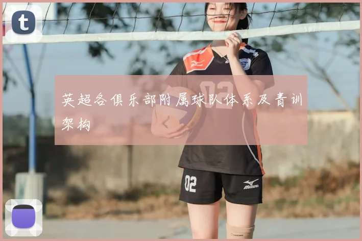 英超各俱乐部附属球队体系及青训架构