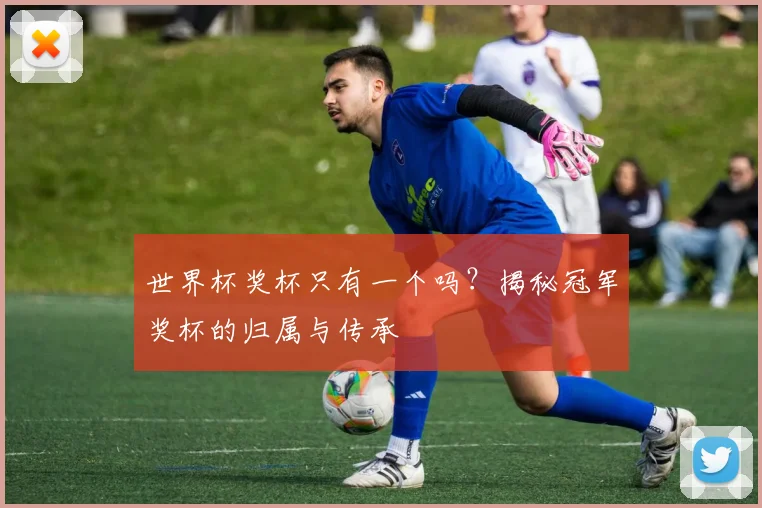 世界杯奖杯只有一个吗？揭秘冠军奖杯的归属与传承
