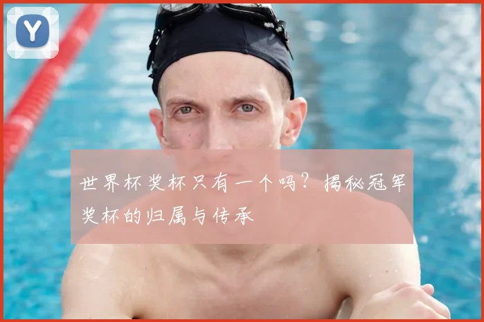 世界杯奖杯只有一个吗?揭秘冠军奖杯的归属与传承