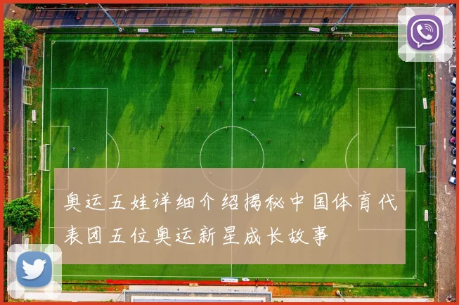 奥运五娃详细介绍揭秘中国体育代表团五位奥运新星成长故事