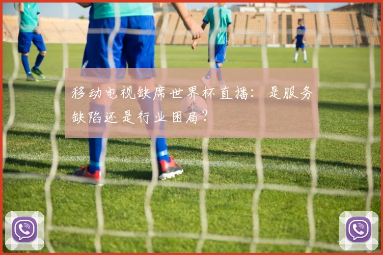 移动电视缺席世界杯直播：是服务缺陷还是行业困局？