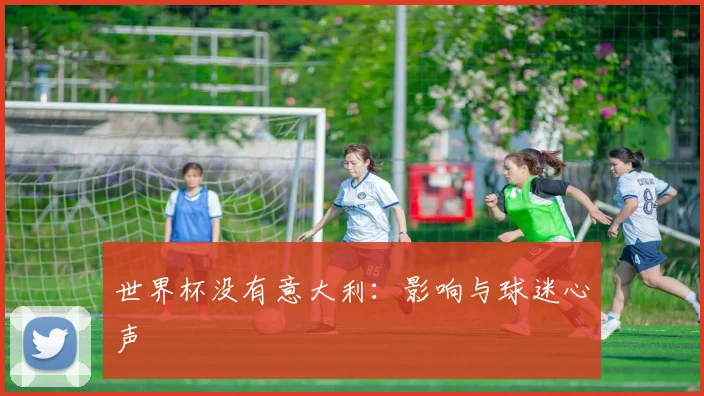 世界杯没有意大利：影响与球迷心声