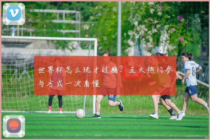 世界杯怎么玩才过瘾？五大热门参与方式一次看懂