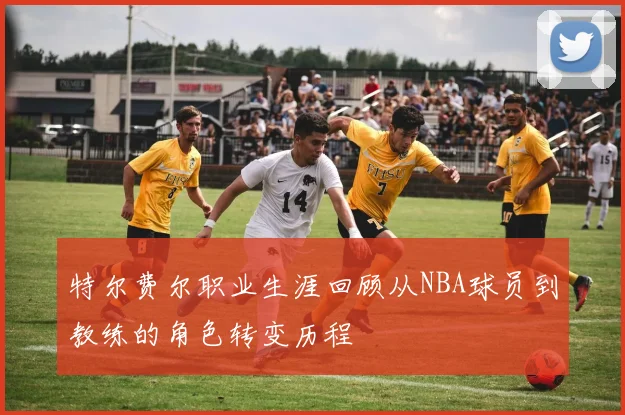 特尔费尔职业生涯回顾从NBA球员到教练的角色转变历程